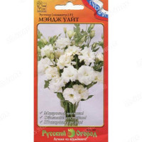 Эустома Мэйдж уайт НК Ц