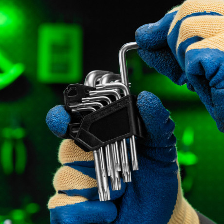 Набор ключей имбусовых Torx-Tempered, TT10-50, CrV, 9 шт. Сибртех
