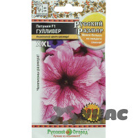 Петуния Русский размер Гулливер НК Ц