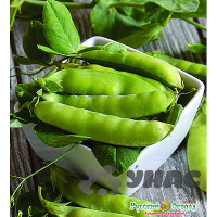 Горох Рахат - Лукум НК Цх10