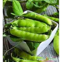 Горох Рахат - Лукум НК Цх10