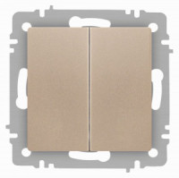 ЭРА Intro Accent мех. выкл. СУ 2 кл. 10А 250В, шампань 6-104-04