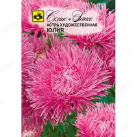 Астра Юлия игольчатая Семко Ц