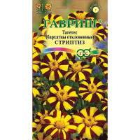 Бархатцы Стриптиз откл. Гавриш  Ц