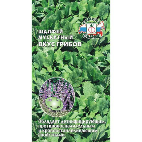 Шалфей Мускатный вкус грибов Седек Ц