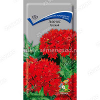 Лихнис Красный Поиск Ц