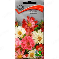 Космея Ракушка Поиск Ц