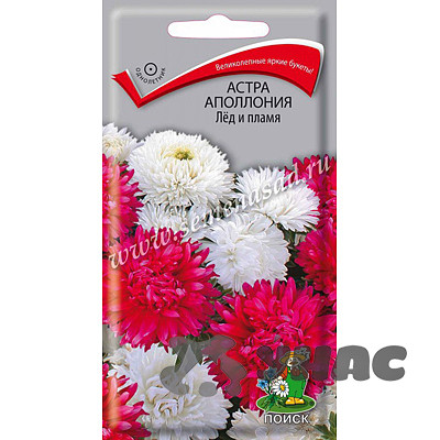 Астра Апполония Лед и пламя Поиск Ц