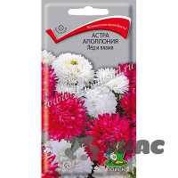 Астра Апполония Лед и пламя Поиск Ц