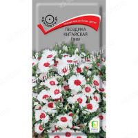 Гвоздика Китайская Рондо Поиск Ц