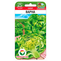 Салат Варна СибСад