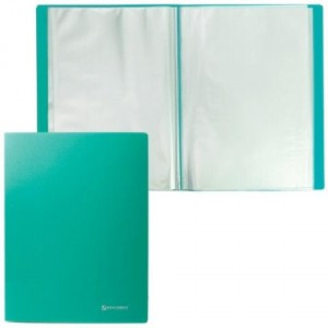 Папка  40 вклад. BRAUBERG "Бюджет" зеленая, 0,6мм