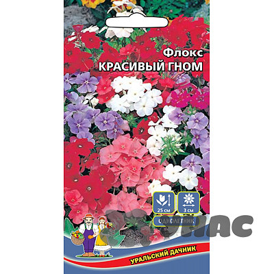 Флокс Красивый гном Марс Ц