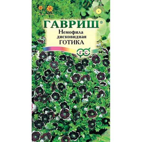 Немофила Готика дисковидная Гавриш Ц