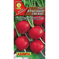 Редис Красный гигант Аэлита Ц