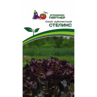 Салат Стеликс Партнер Ц