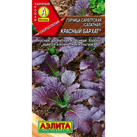 Горчица Красный бархат листовая Аэлита Ц x10