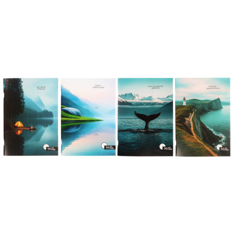 ClipStudio Тетрадь общая А4, 96 листов, в клетку, БЕЛЫЕ ЛИСТЫ, обложка картон, скрепка, 4 диз