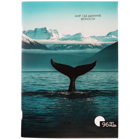 ClipStudio Тетрадь общая А4, 96 листов, в клетку, БЕЛЫЕ ЛИСТЫ, обложка картон, скрепка, 4 диз