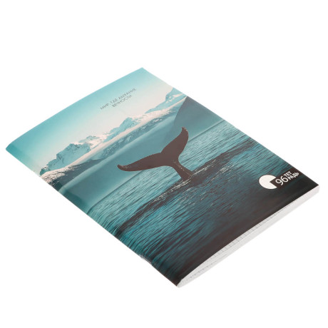 ClipStudio Тетрадь общая А4, 96 листов, в клетку, БЕЛЫЕ ЛИСТЫ, обложка картон, скрепка, 4 диз