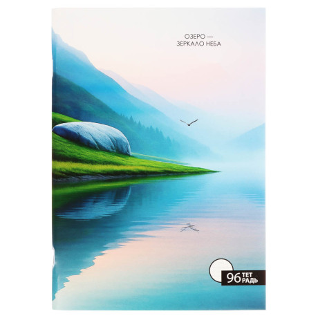 ClipStudio Тетрадь общая А4, 96 листов, в клетку, БЕЛЫЕ ЛИСТЫ, обложка картон, скрепка, 4 диз