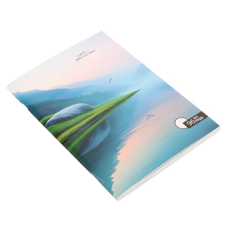 ClipStudio Тетрадь общая А4, 96 листов, в клетку, БЕЛЫЕ ЛИСТЫ, обложка картон, скрепка, 4 диз