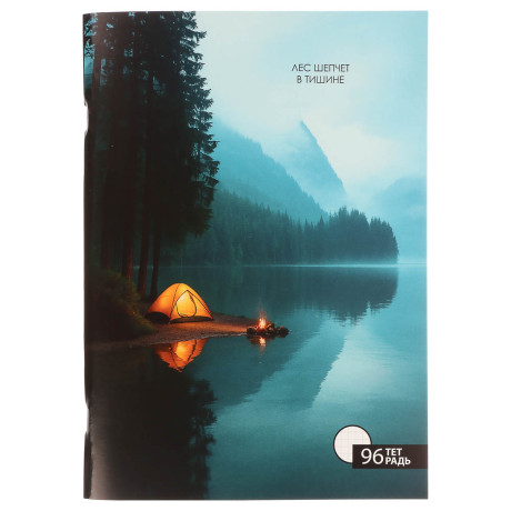 ClipStudio Тетрадь общая А4, 96 листов, в клетку, БЕЛЫЕ ЛИСТЫ, обложка картон, скрепка, 4 диз