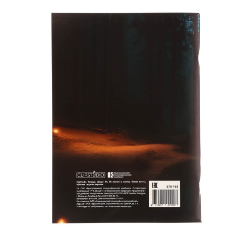 ClipStudio Тетрадь общая А4, 96 листов, в клетку, БЕЛЫЕ ЛИСТЫ, обложка картон, скрепка, 4 диз