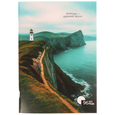 ClipStudio Тетрадь общая А4, 96 листов, в клетку, БЕЛЫЕ ЛИСТЫ, обложка картон, скрепка, 4 диз