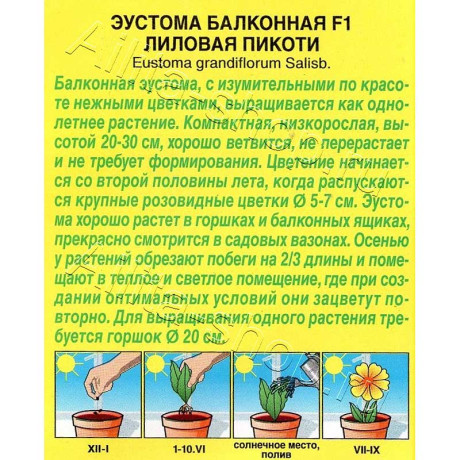 Семена Эустома Балконная лиловая пикоти Аэлита Ц