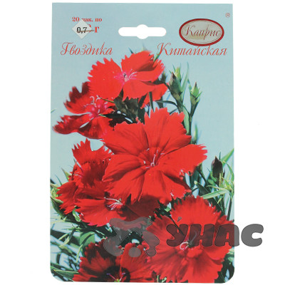 К Гвоздика Китайская  (Танец гейши) Каприс