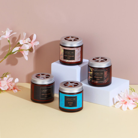 LADECОR Ароматизатор для дома и авто, 110 гр., океан, медовый  персик, османтус, одеколон