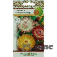 Гелихризум Большое Солнце  НК Ц