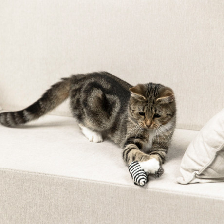 VETTA Игрушка для домашних животных, пластмасса, 7х3 см