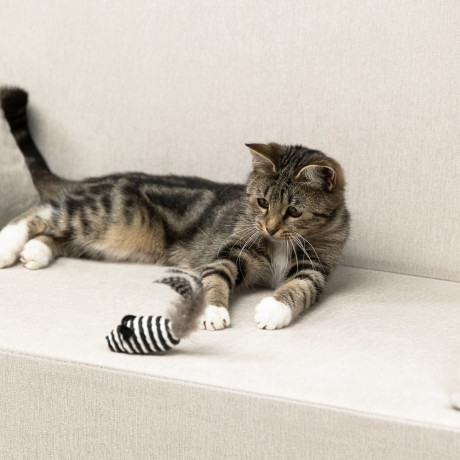 VETTA Игрушка для домашних животных, пластмасса, 7х3 см