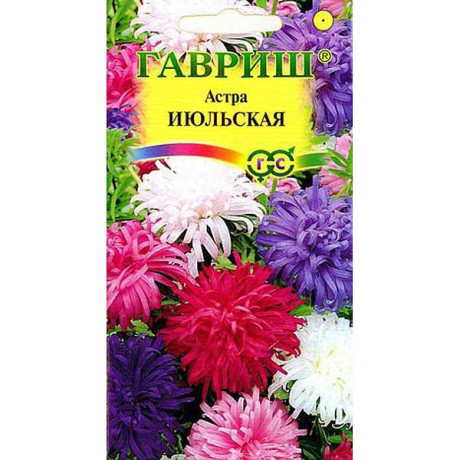 Астра Июльская смесь Гавриш Ц