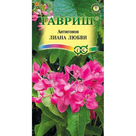 Антигонон Лиана любви розов. Гавриш Ц х10