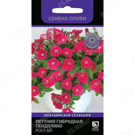 Петуния Пендолино  Роуз Ай Поиск Ц