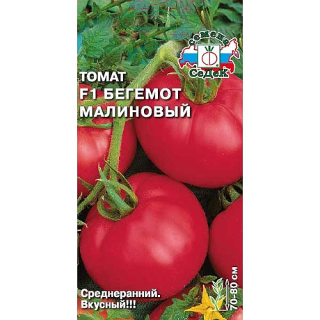 Семена Томат Бегемот малиновый Седек