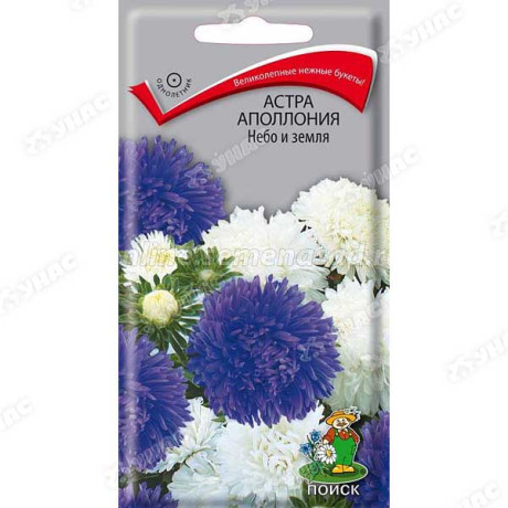 Астра Апполония Небо и земля Поиск Ц