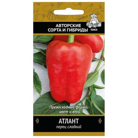Перец Атлант Поиск Ц