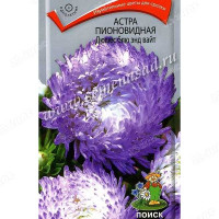 Астра Дюшес блю энд вайт Поиск Ц