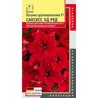Петуния Саксесс ХД Ред Плазма Ц