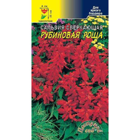 Сальвия Рубиновая роща ЦветCад Ц