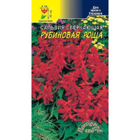 Сальвия Рубиновая роща ЦветCад Ц