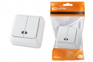 TDM Ладога выкл. ОУ 2 кл. 10А бел. (инд.) (10!) SQ1801-0007