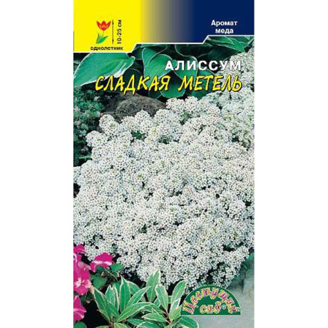 Алиссум Сладкая Метель (аромат меда)ЦветСад Ц