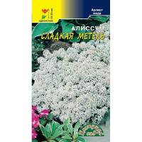 Алиссум Сладкая Метель (аромат меда)ЦветСад Ц