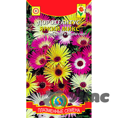 Доротеантус Яркий микс Плазма Ц