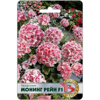 КОМ Пеларгония Монинг Рейн Биотехника Ц